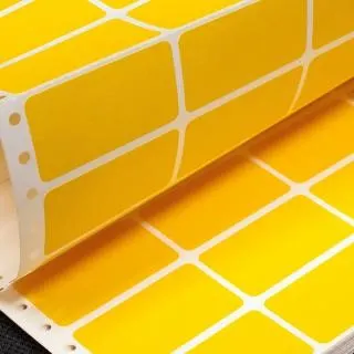 Removable & Freezer Labels for TSC Printers